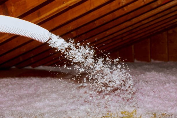 Best Attic Insulation Installation  in Sheridan, IL