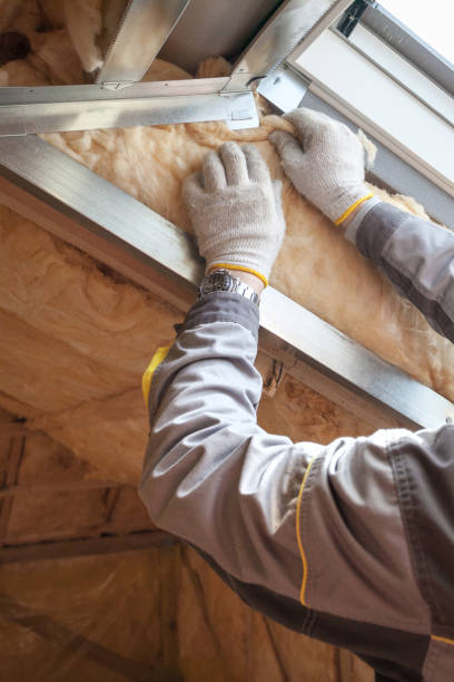 Best Commercial Insulation Services  in Sheridan, IL