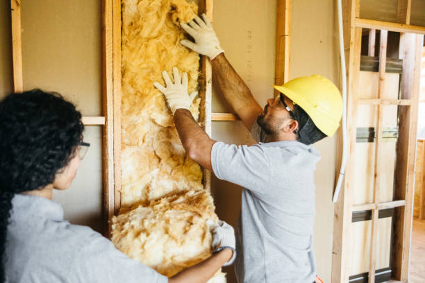 Best Insulation Replacement  in Sheridan, IL