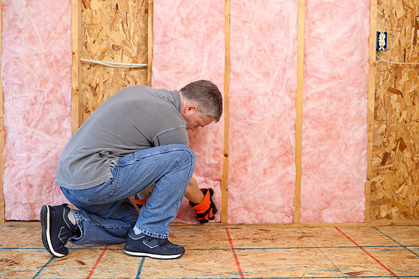 Best Spray Foam Insulation  in Sheridan, IL